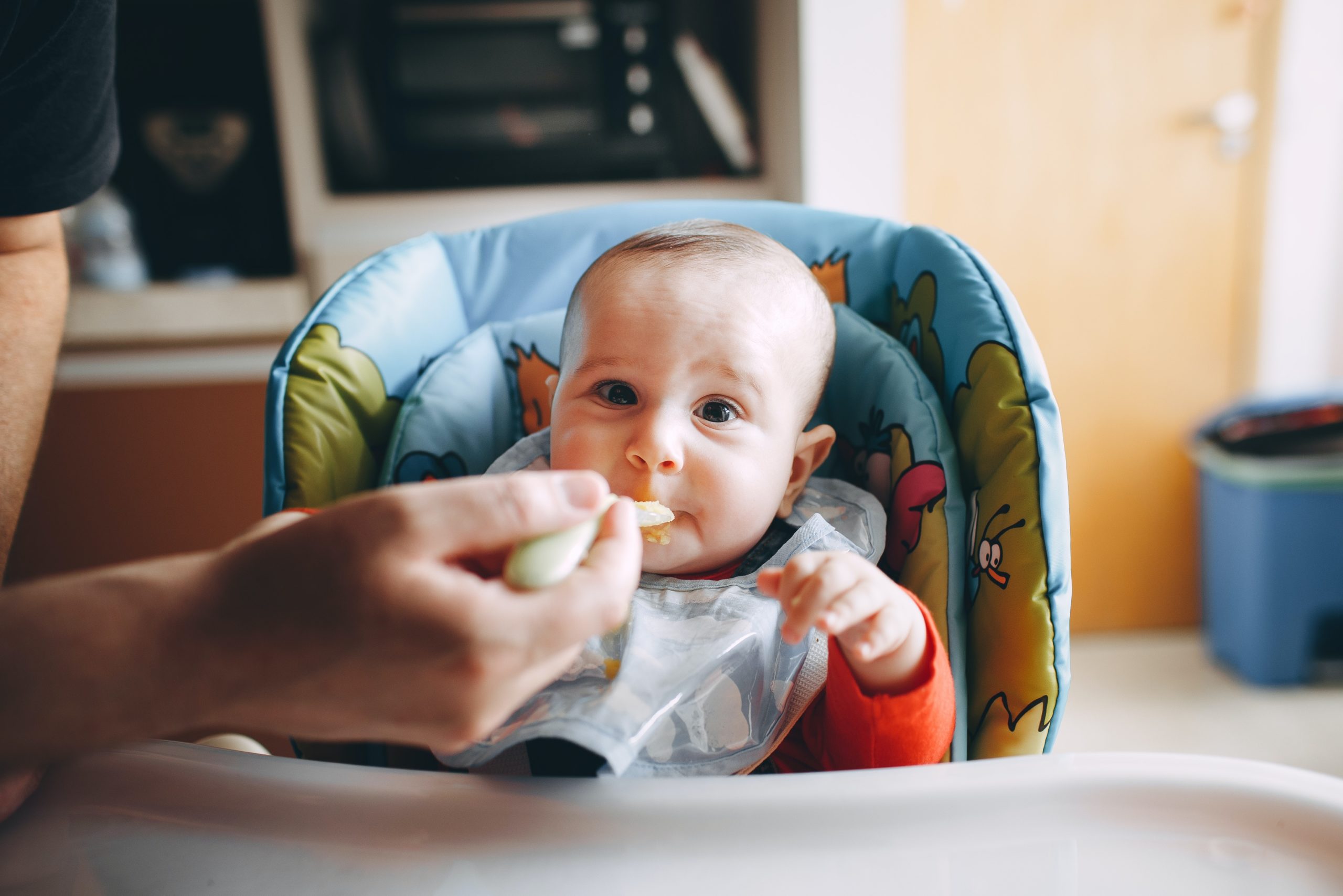Pequeño bebé comiendo deliciosa comida de cuchara
